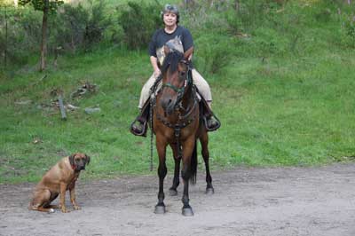 Ausritt mit Rhodesian Ridgeback-Hündin Laila im Wald