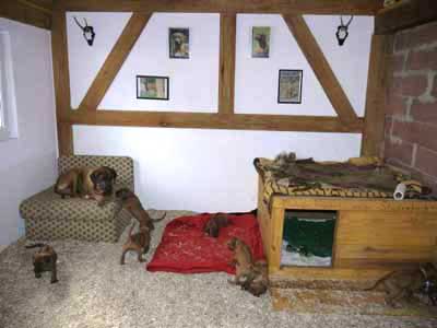Der Welpenraum